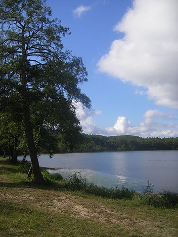 Etang d'Aureilhan - Landes - Aquitaine 