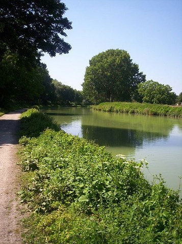 Canal latéral à la Marne