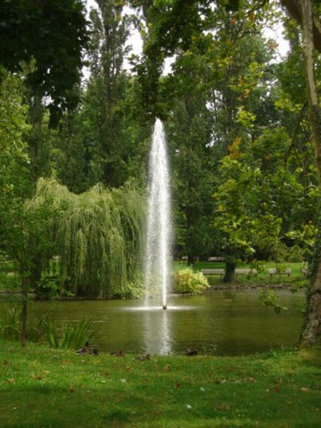 Le Mans - étang du jardin des plantes - Sarthe - Pays de Loire