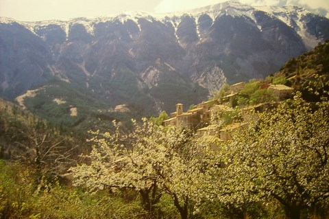 Brantes - Mont Ventoux - Vaucluse - alpes-provence-cote d'azur (PACA)